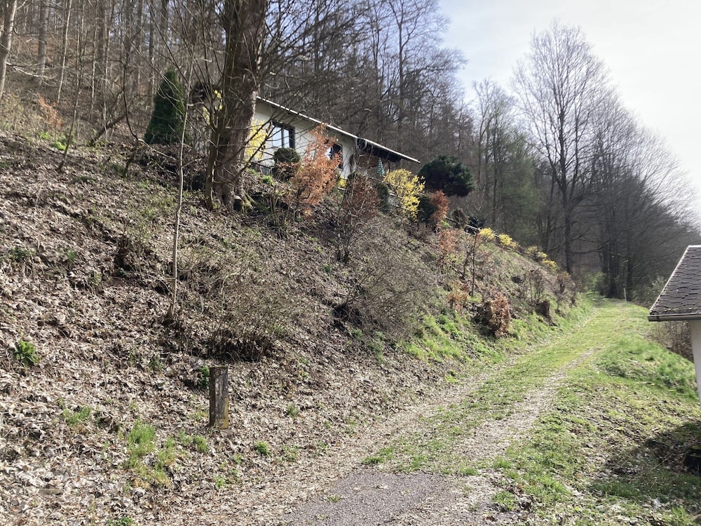 Engenstein Woodland Escape view 5