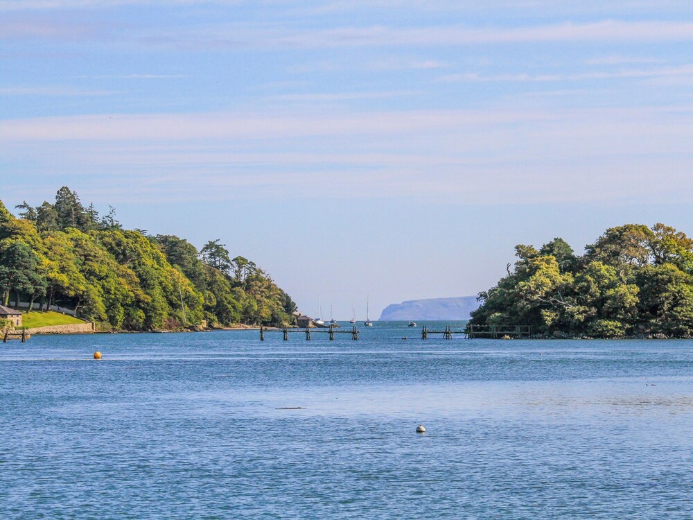Ynys Castell