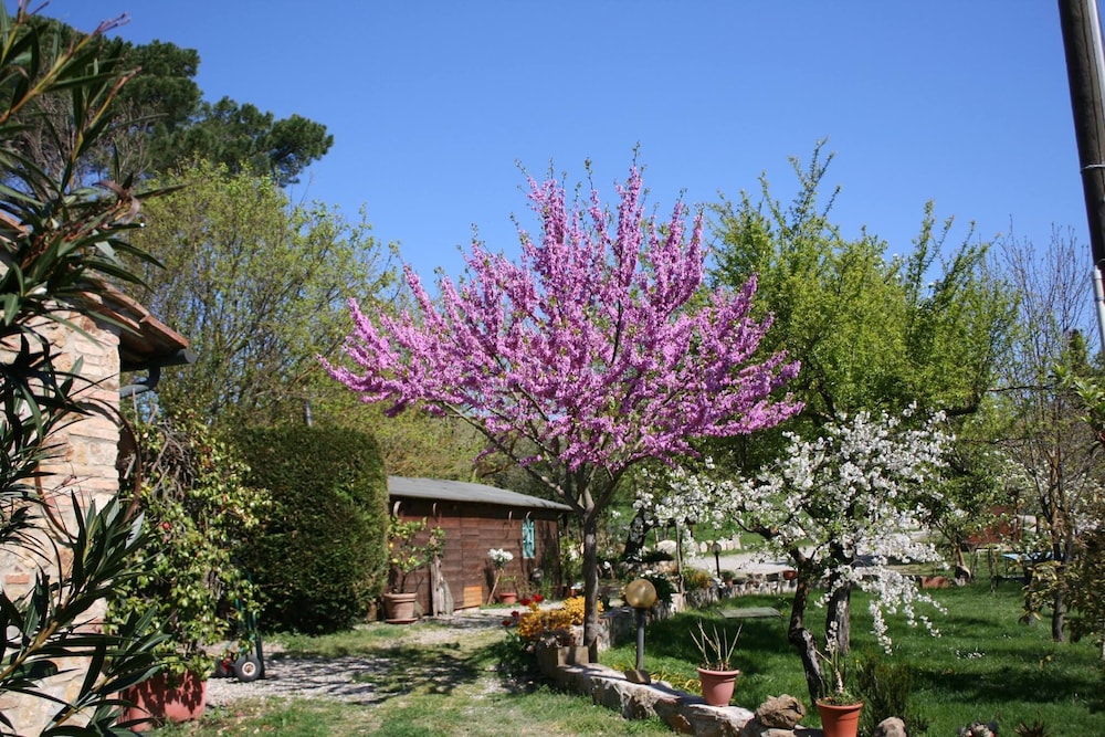 Agriturismo Grecinella photo 4