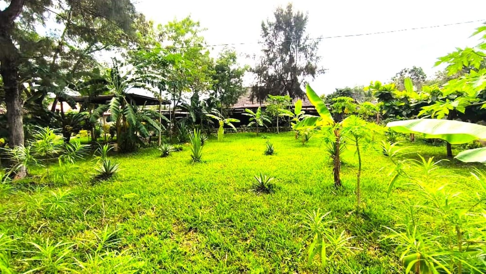 zanzllywood hotel and apartments