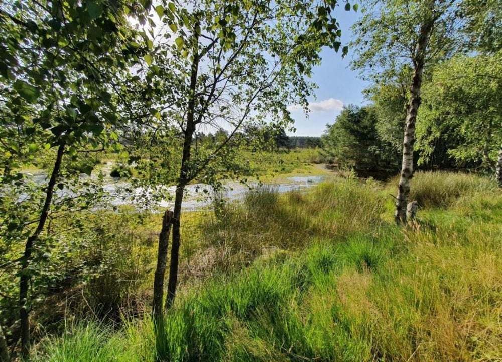 Apartment in Luneburg Near Ski Hall