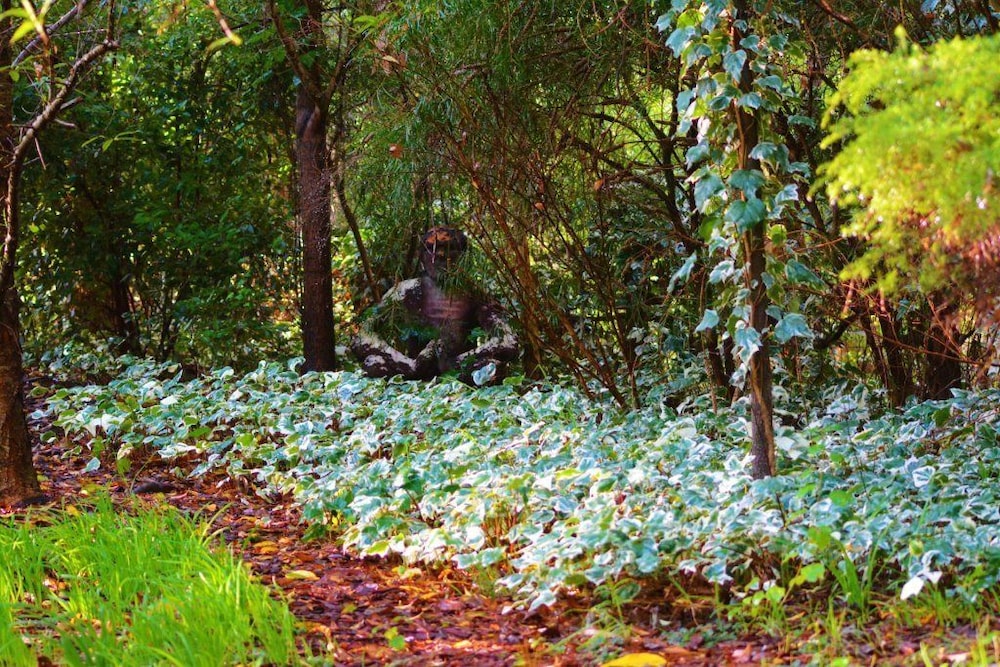 The Black Cockatoo Nannup