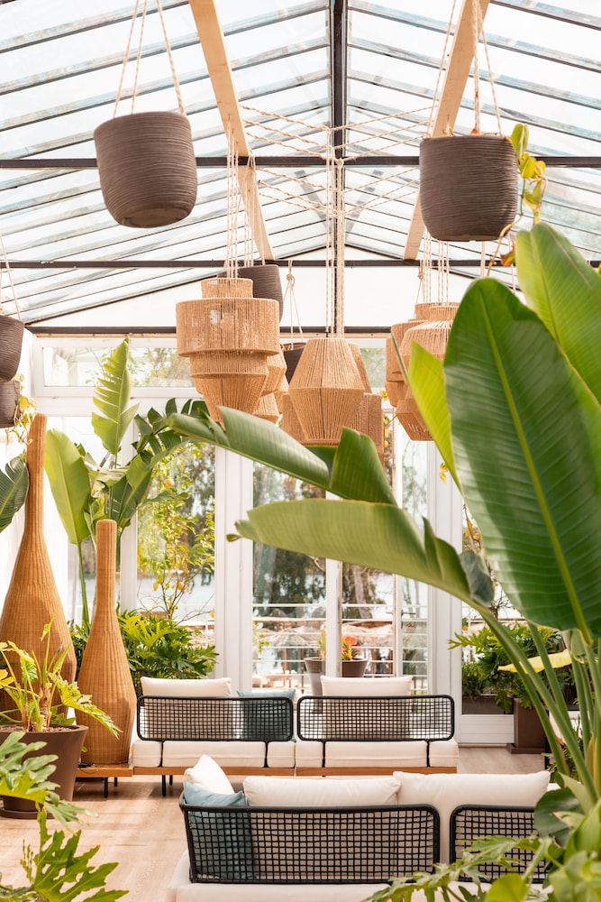 Plana Resort & SPA photo 5