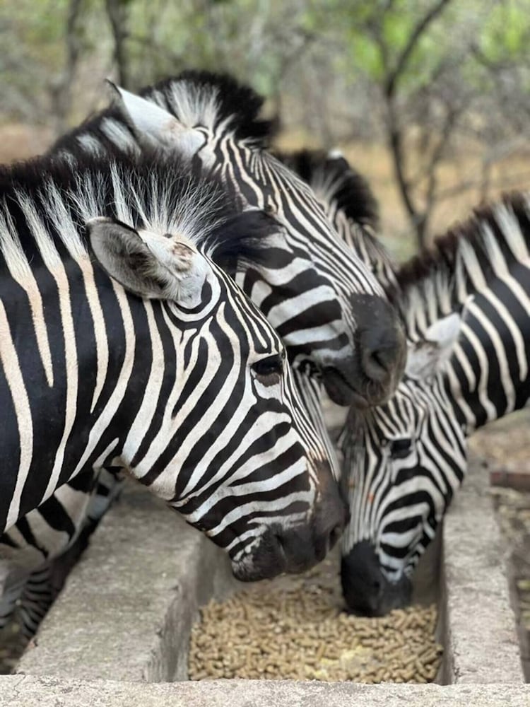 Singwe Private Safari lodge
