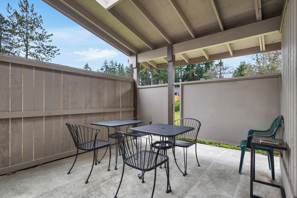 Central Bellevue Guesthouse, photo 42