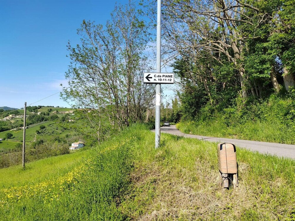 Photo 45