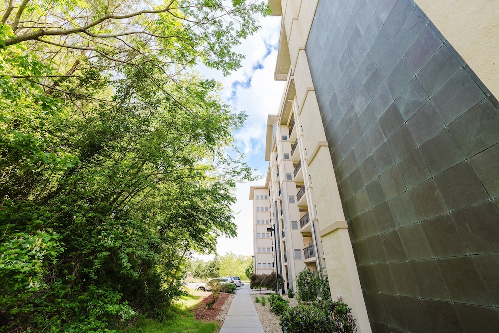 A Beary Good Getaway 2 Bedroom Condo