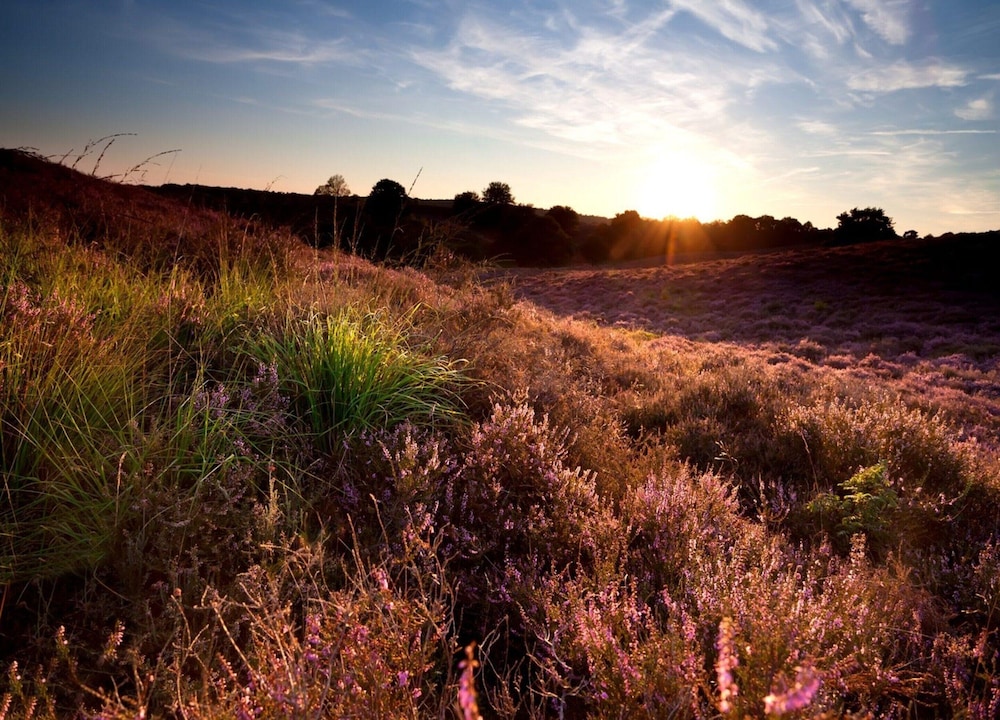 Calming Hideaway in Veluwe