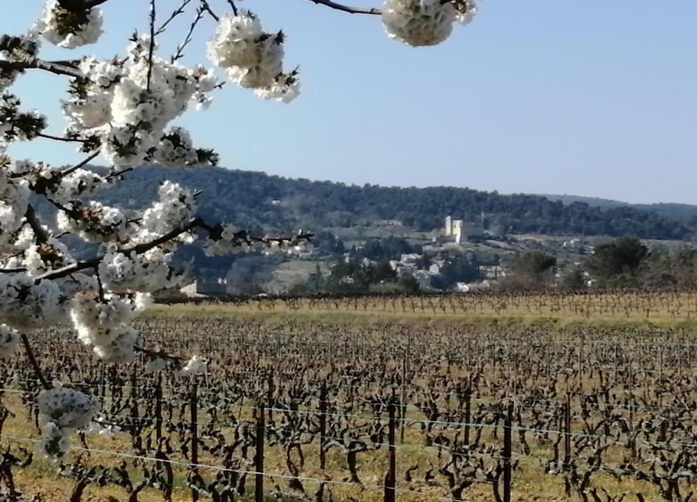 House in Vaison La Romaine With Heated Pool