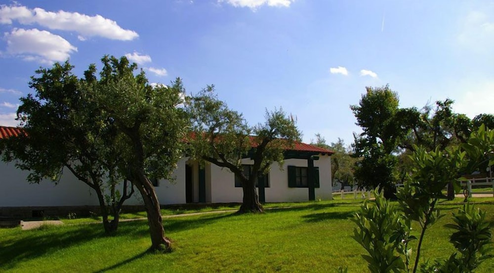 Casas Rurales Aldeaduero
