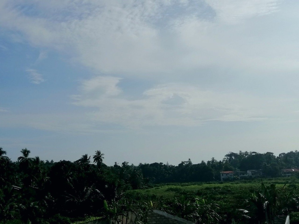 Omeeco Guest, photo 15