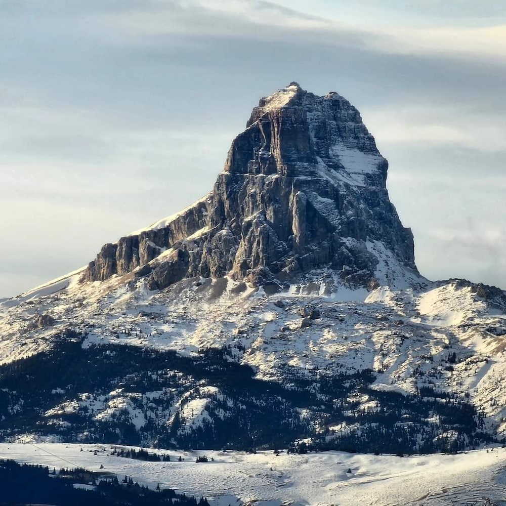 Photo 81