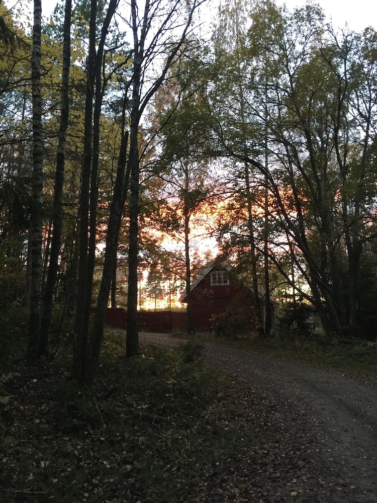 Björnåsen Bear Hill