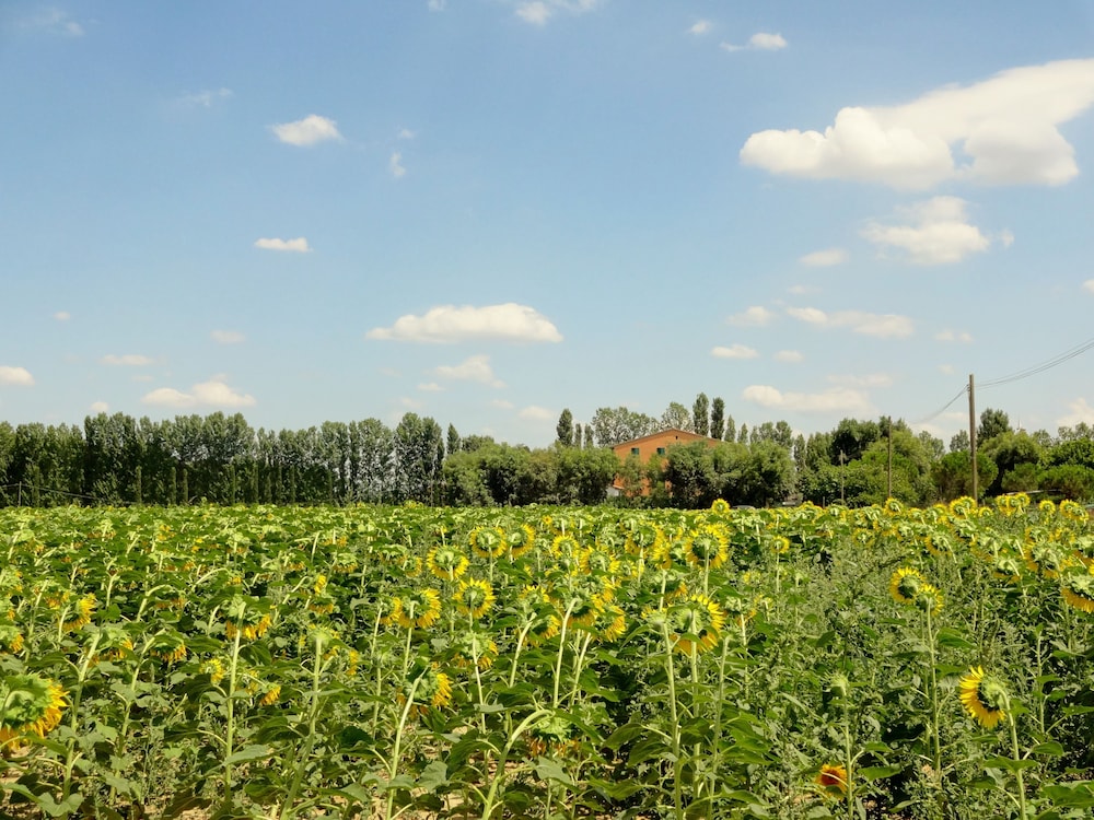 Agriturismo Pinzale