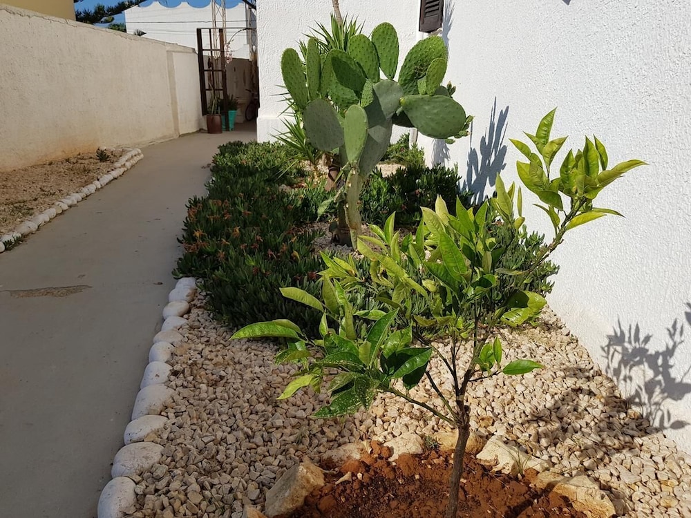 Photo 18