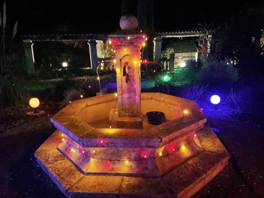 Photo 11