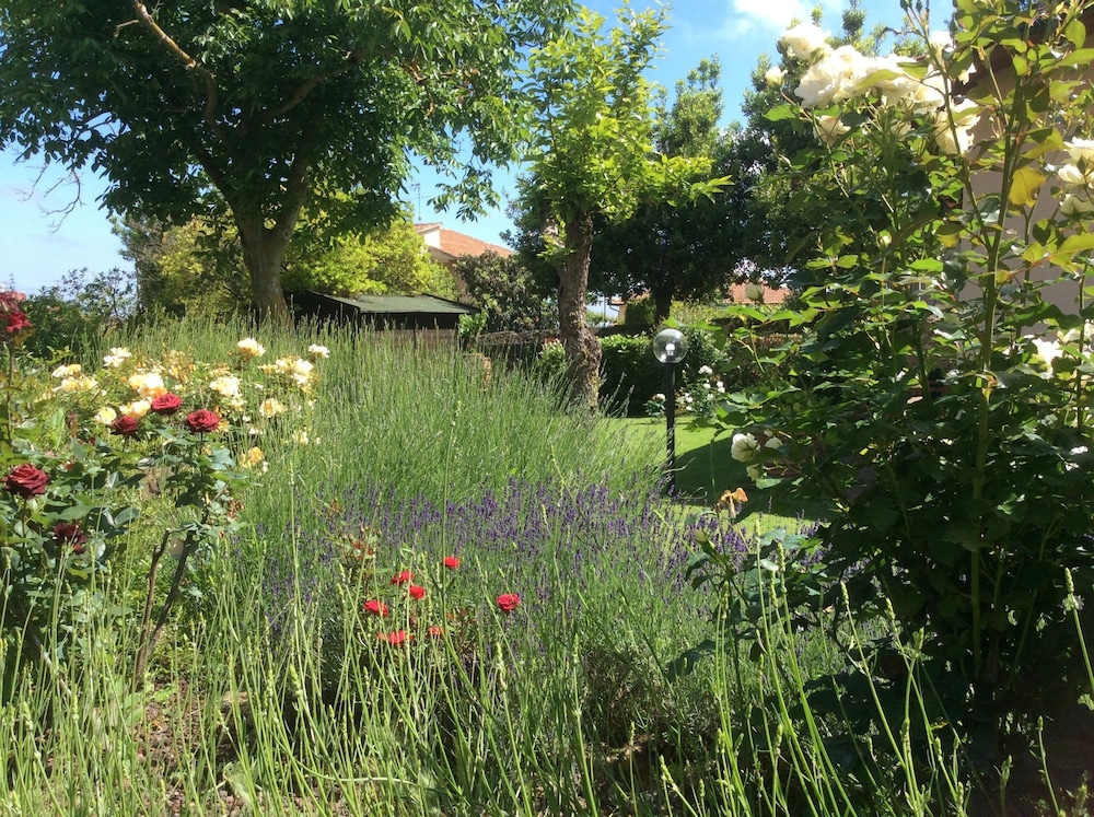 La Primavera B&B, photo 5