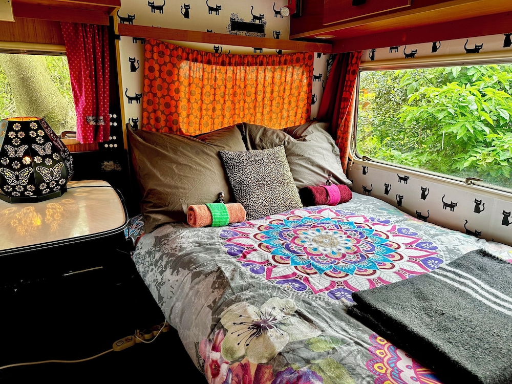 Camping De Helleborus