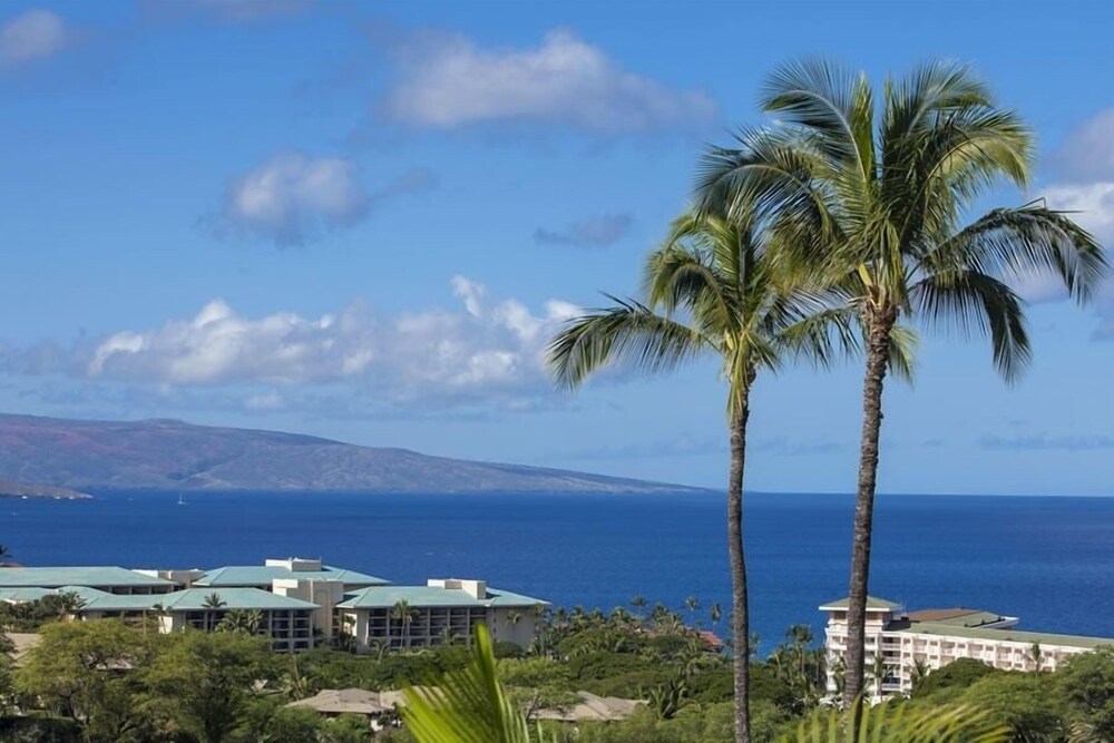 Wailea Ekolu, #914 2 Bedroom Condo by RedAwning view 5