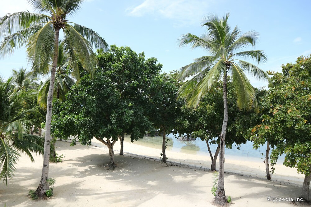 Dos Palmas Island Resort & Spa