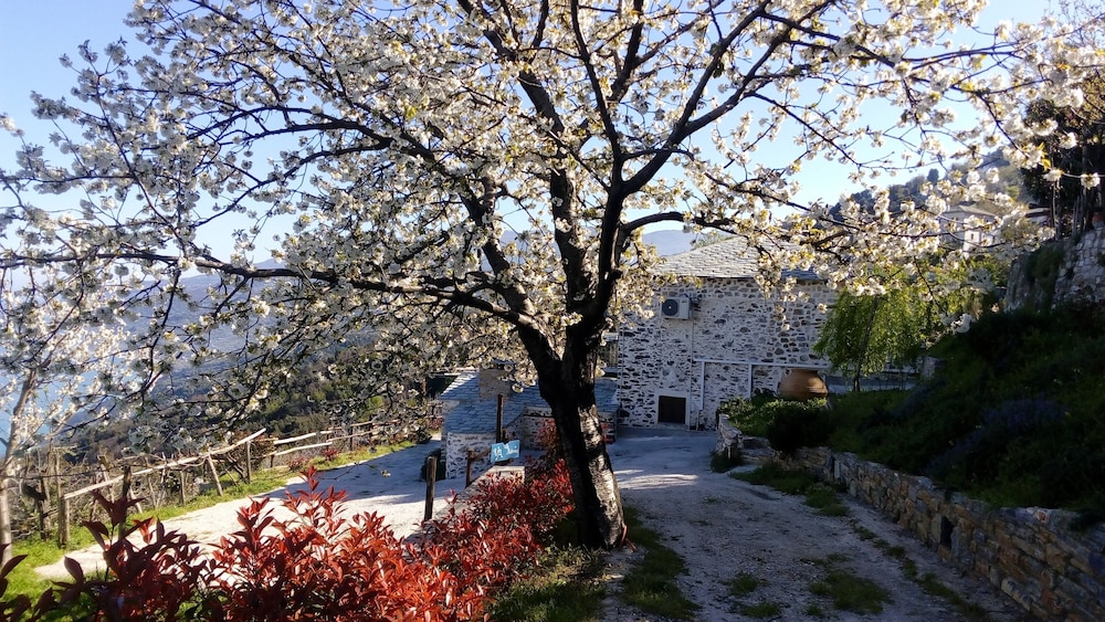 Villa Asterina