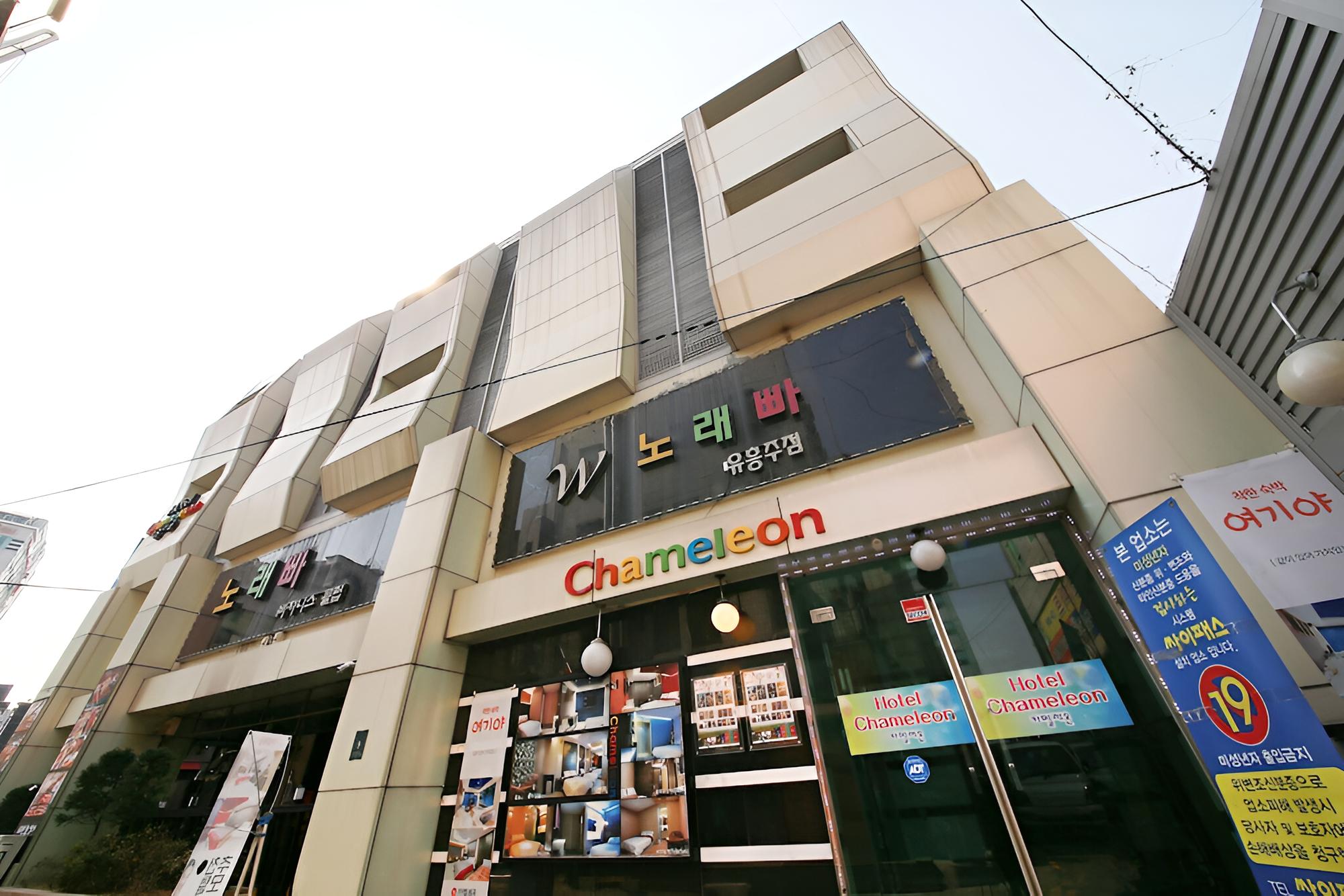 Yongin Chameleon view 3