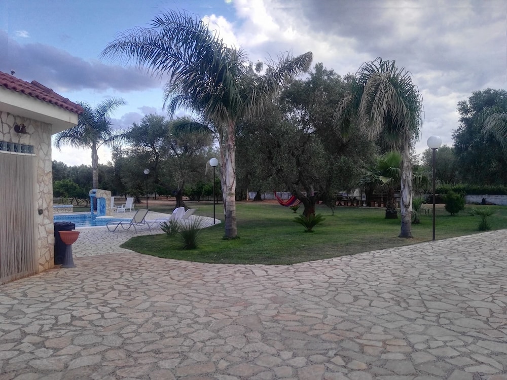 Photo 12