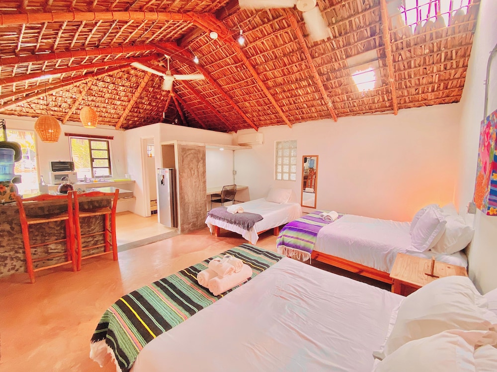 Perro Surfero Hotel Boutique - Todos Santos, BCS
