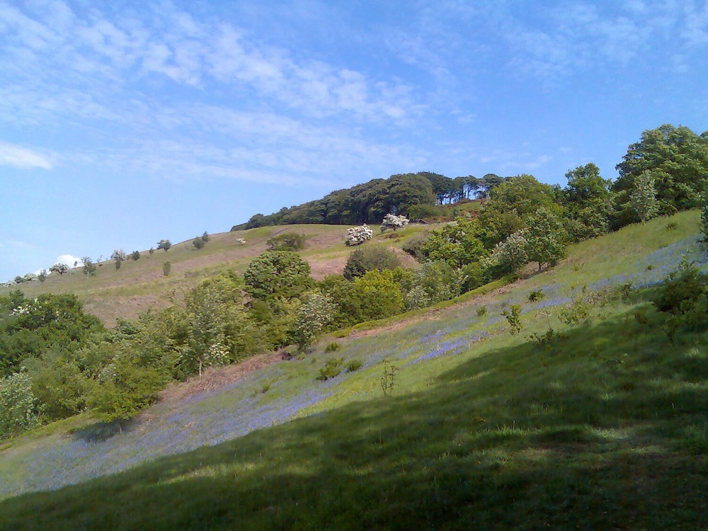 Photo 28