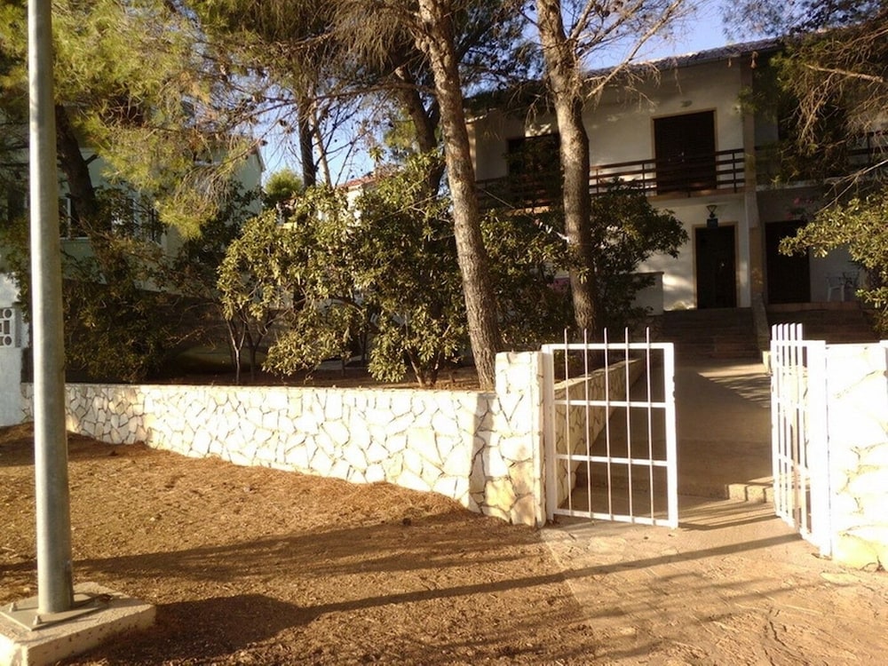 Photo 7
