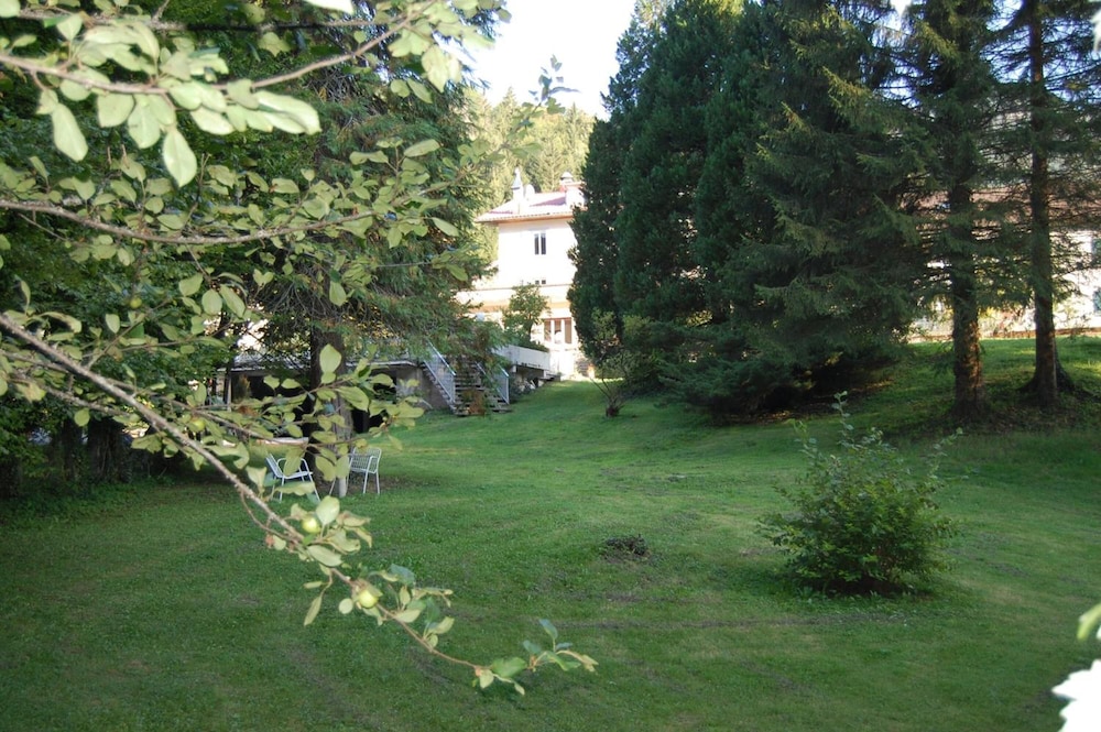 Photo 44