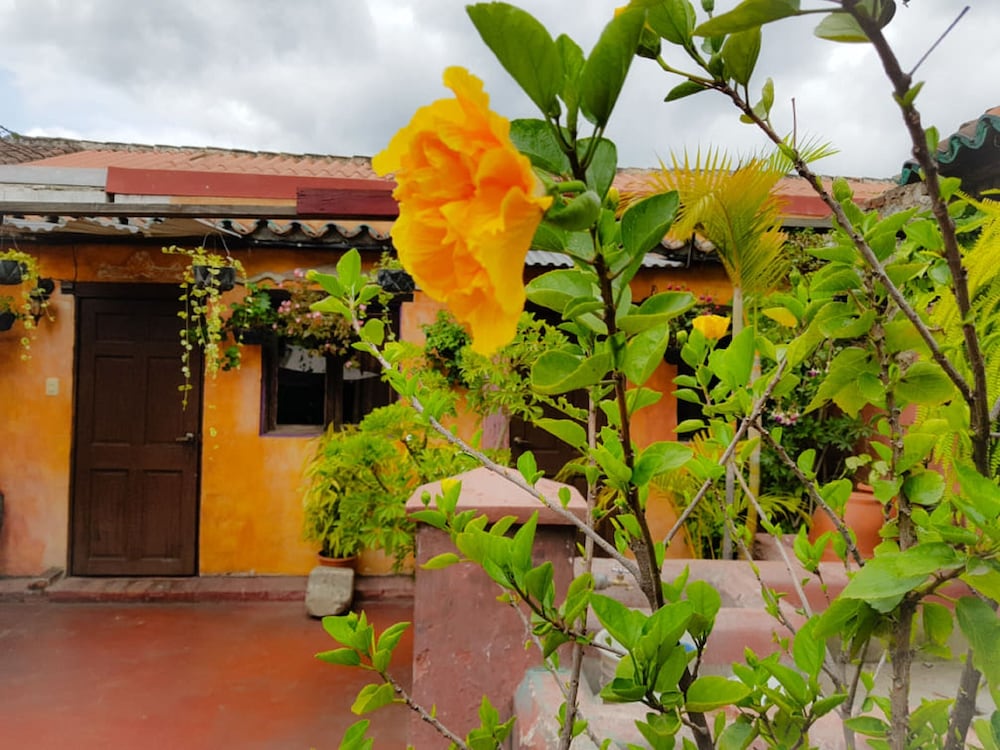 Hotel Primavera Antigua
