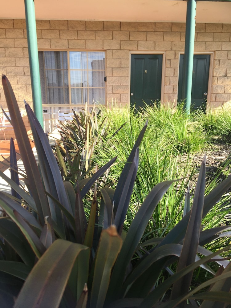 Mulwala Paradise Palms Motel