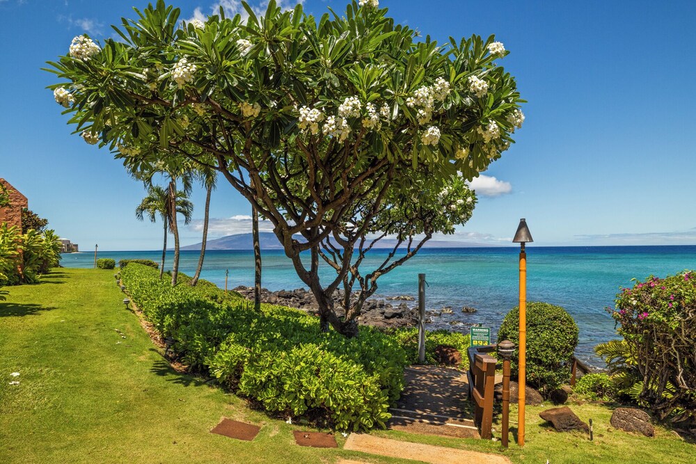Kuleana Club - 509