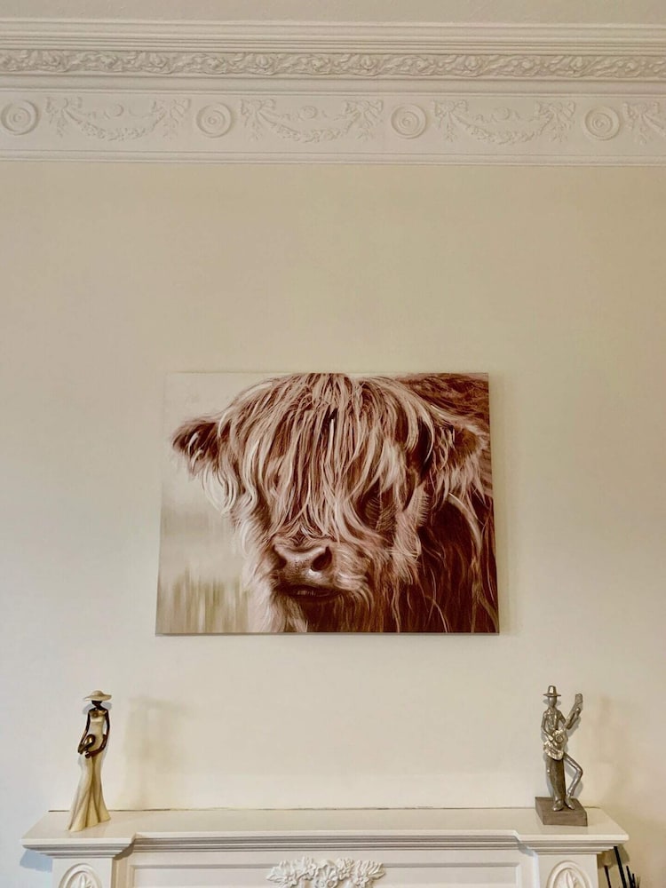 Spacious and Bright Polworth Flat