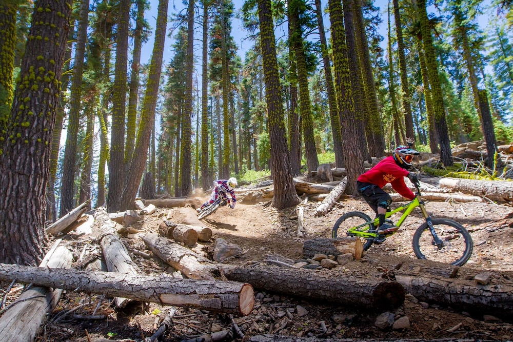 Lake Tahoe Vacations - Northstar Village 237 - Property Image 7