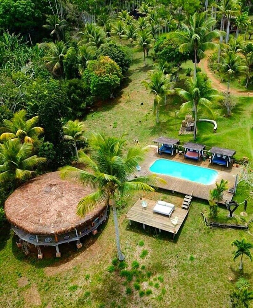Art Jungle Eco Lodge