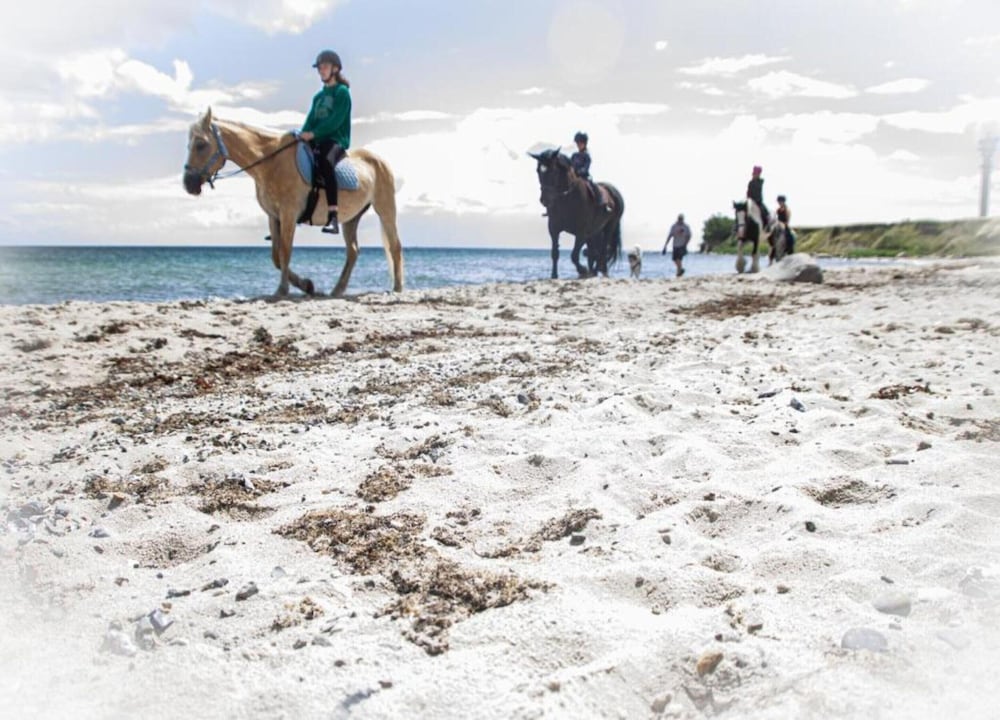 Coastal Escape on Fehmarn Island