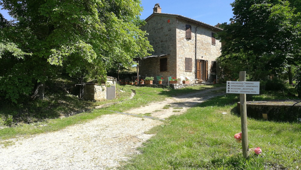 Photo 22