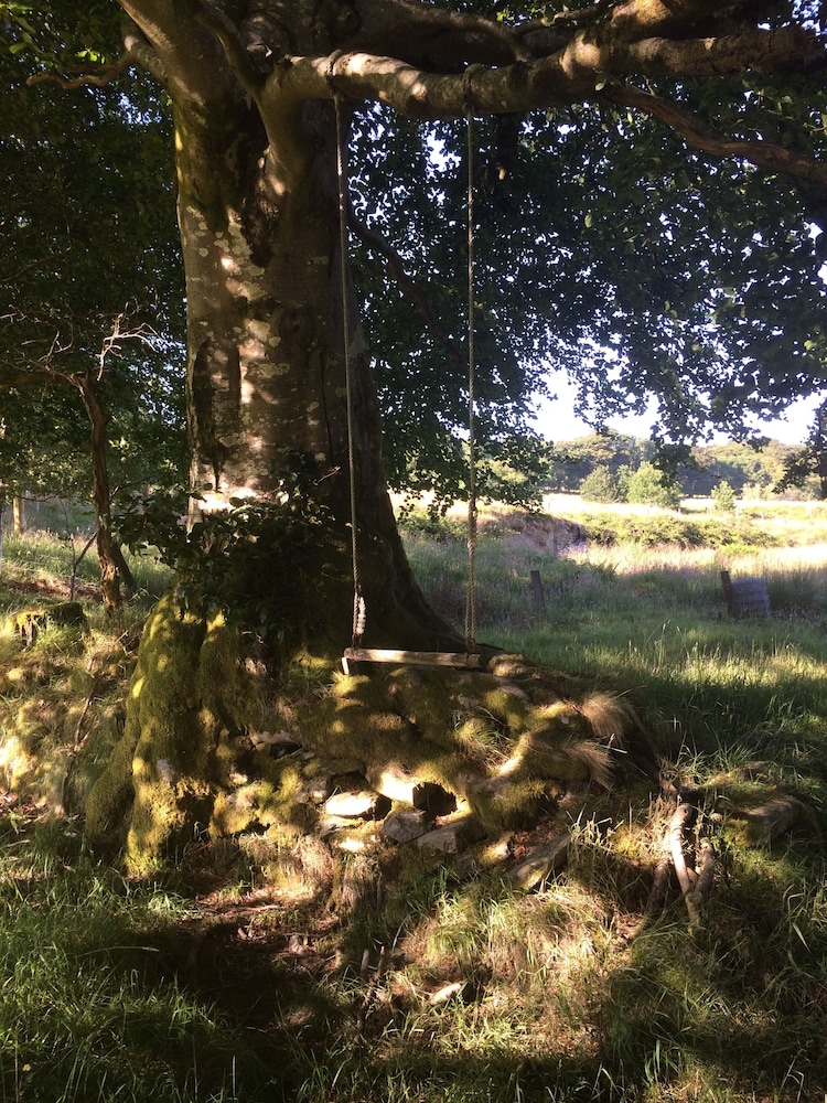 Ffos y Ffin - Ascension in the Fields