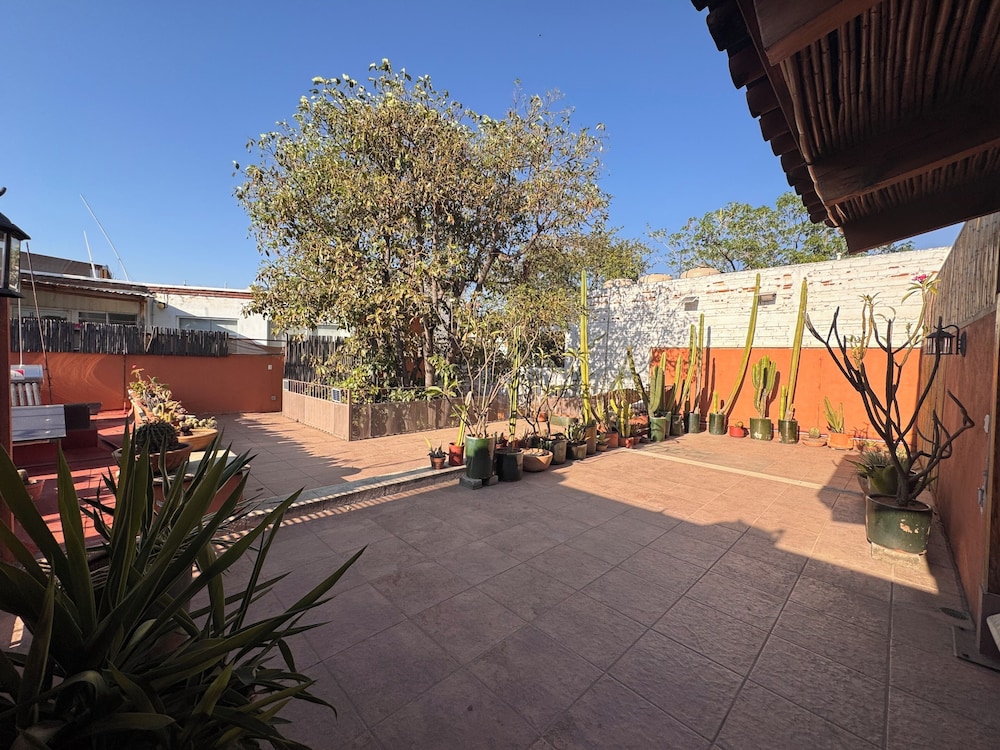 La Casa del Arbol