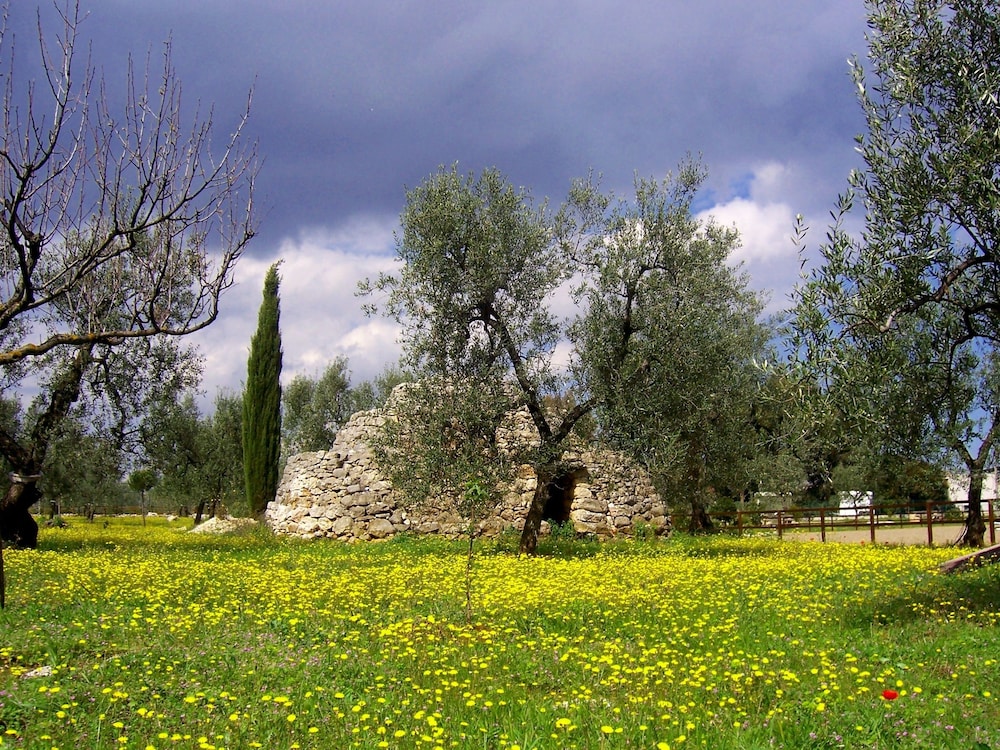 Photo 21