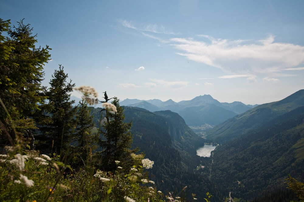 Photo 48