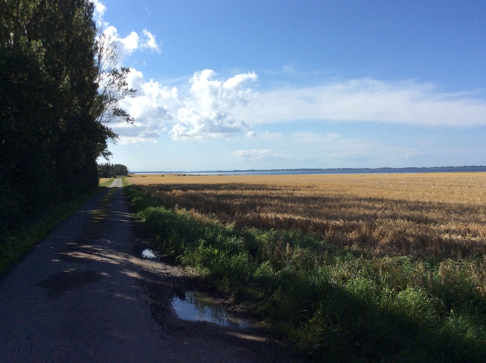 Askø Mejeri - B&B