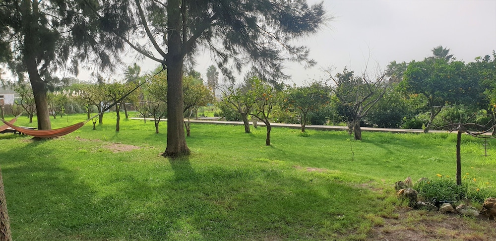 Photo 45