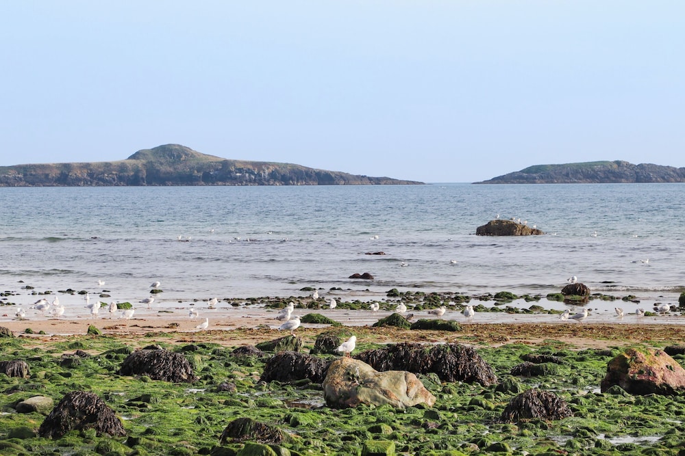Bryn Ffynnon