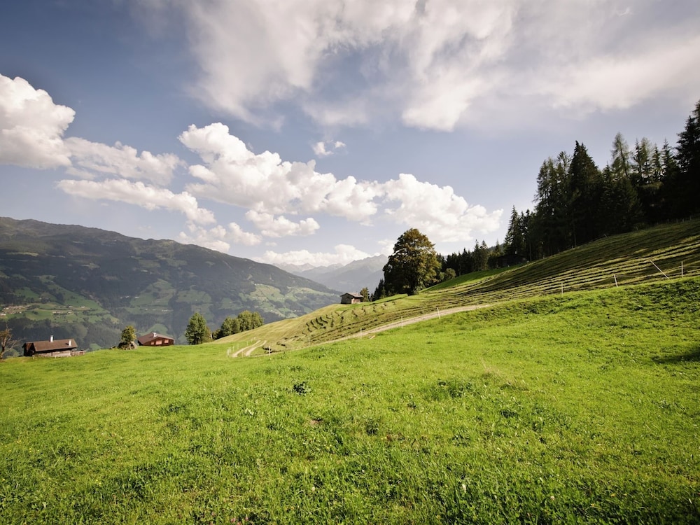 Photo 37