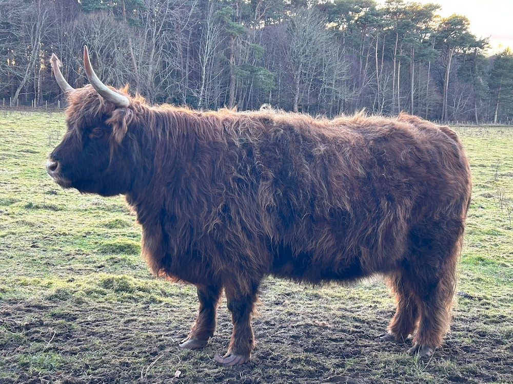 Glen Lyon Lodge Bed & Breakfast