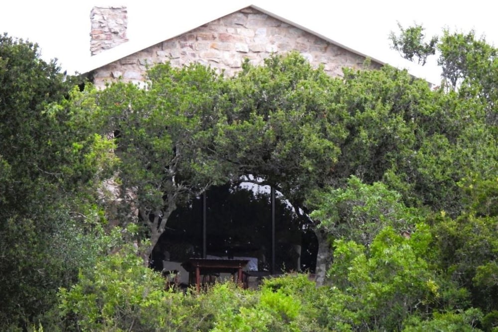 African Safari Lodge