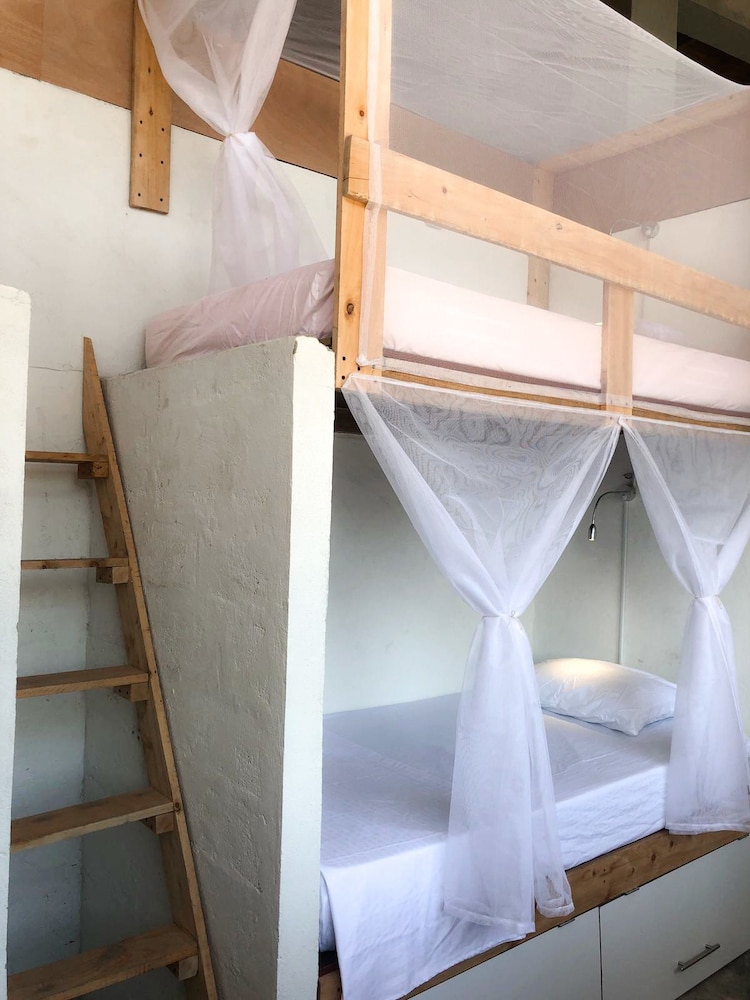I Wanna Palomino - Hostel